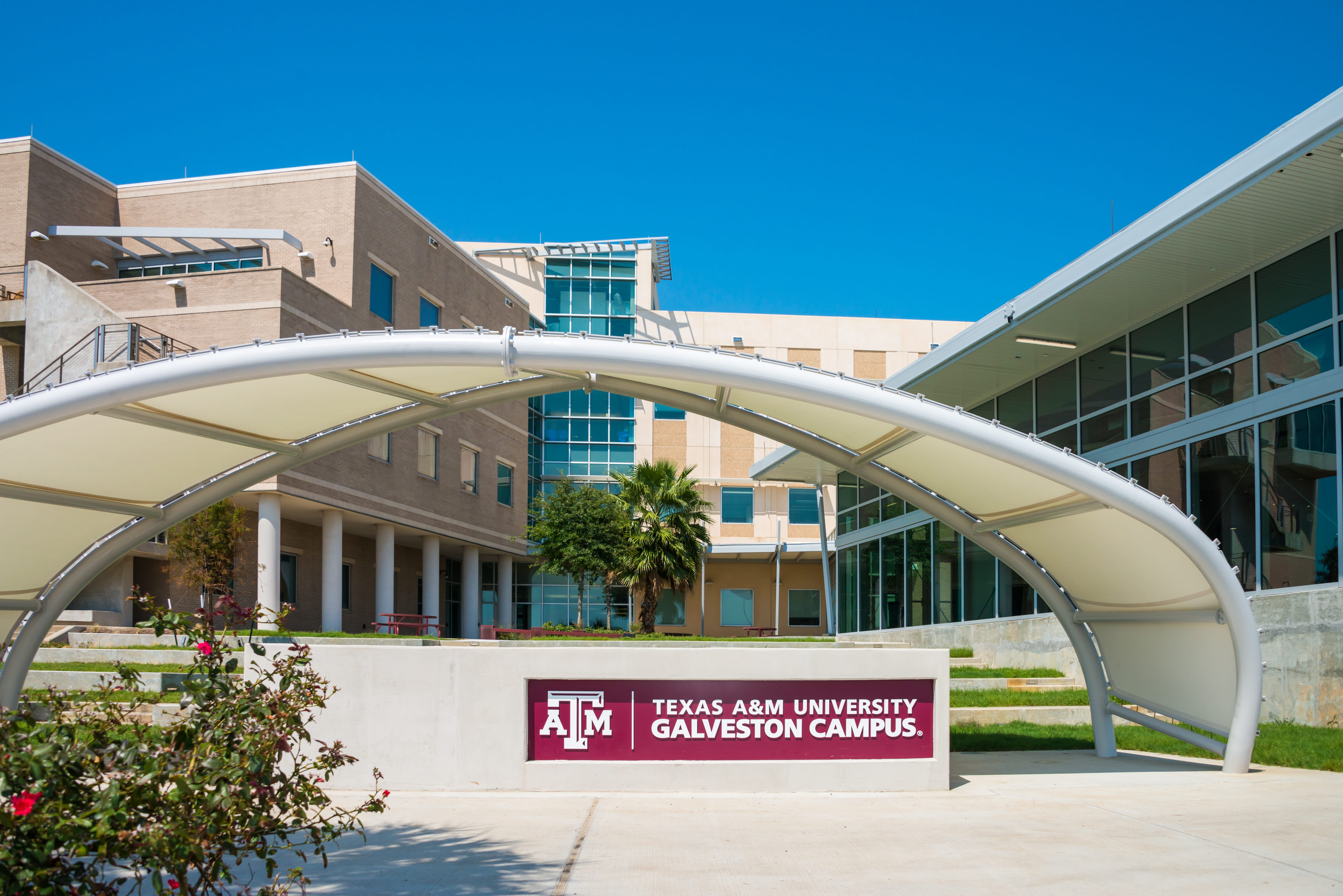 Texas A&amp;M University at Galveston.