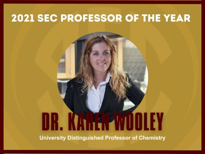 2021 SEC Faculty Achievement Award Winner.